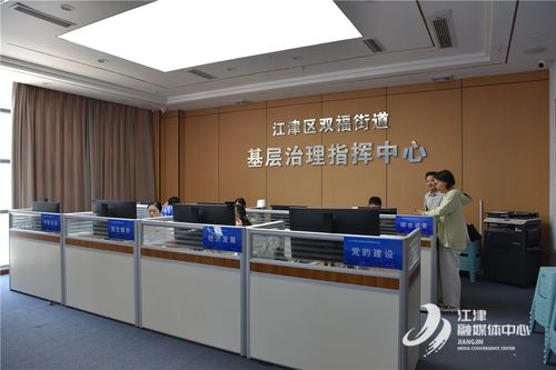 重庆江津区人民政府信息技术咨询服务 驱动数字化转型与区域发展