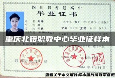 重庆北碚职教中心毕业证样本与信息技术咨询服务解析