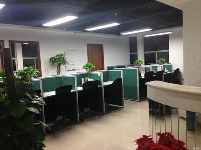 重庆渝众通信息技术服务 引领数字化转型的本地化力量